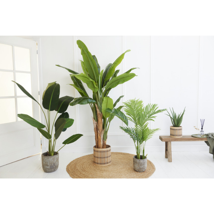 Lifa Living-Kunstplant Strelitzia-HomeHaves